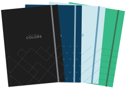 TECZKA Z GUMKĄ TOP 2000 COLORS C4