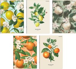ZESZYT TOP 2000 SUMMER HARVEST CLUB A5/60K KRATKA Z MARGINESEM