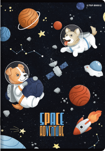 ZESZYT TOP 2000 SPACE ADVENTURE A5/32K KRATKA Z MARGINESEM